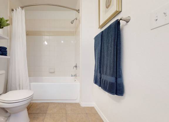 A white toilet sits next to a bathtub in a bathroom.
