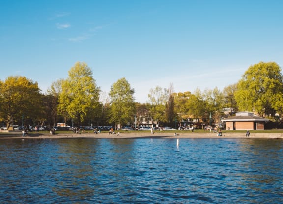 a view of a lake in a park with trees and a building