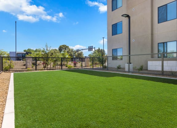 A fenced grassy area here at Reflect at Dobson Ranch Apartments beside a beige building with blue windows under a bright blue sky. Surrounding trees add a natural, serene setting.