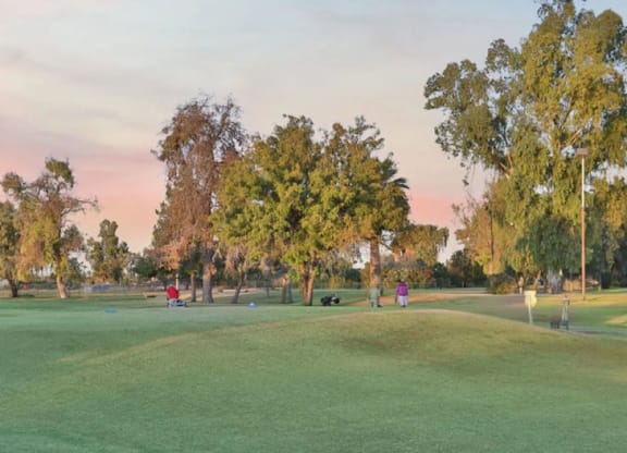 Golf course near Reflect at Dobson Ranch Apartments at sunset with a soft pink sky. Trees and golfers are scattered across the green landscape, creating a calm, peaceful atmosphere.