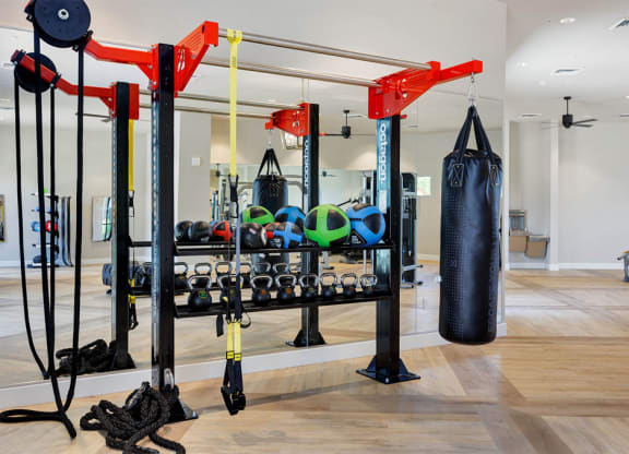 Modern gym here at Reflect at Dobson Ranch Apartments with a red workout station, TRX straps, kettlebells, medicine balls, battle ropes, and a black punching bag. Bright, spacious interior.