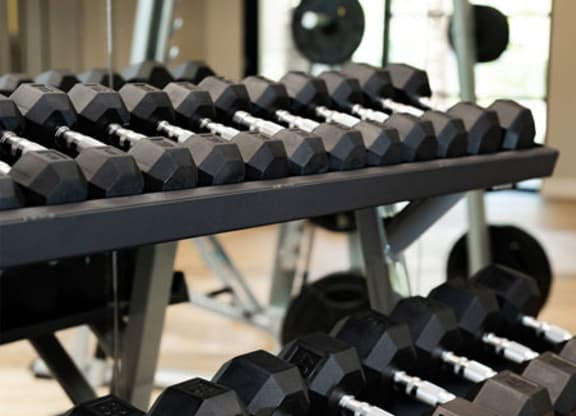 A gym rack holds neatly arranged hexagonal dumbbells of varying weights. The setting conveys an organized, professional fitness environment here at Reflect at Dobson Ranch Apartments.