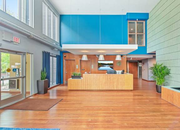 Spacious modern lobby here at Blue and Lime Apartments with wood floors, blue accent wall, and sleek wooden reception desk. Large windows and plants add a welcoming touch.