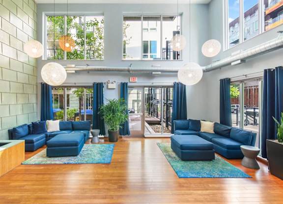 Spacious lounge area here at Blue and Lime Apartments with tall windows, blue sofas on vibrant rugs, hanging globe lights, green plants, and natural wood flooring. Inviting atmosphere.