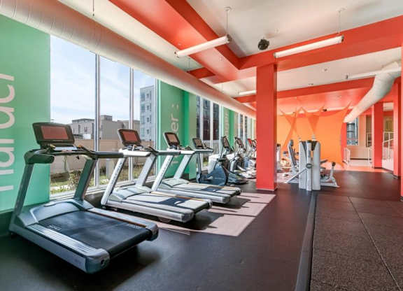 Bright gym here at Blue and Lime Apartments with large windows and colorful walls, featuring rows of treadmills and exercise machines. Sunlight creates a lively atmosphere.