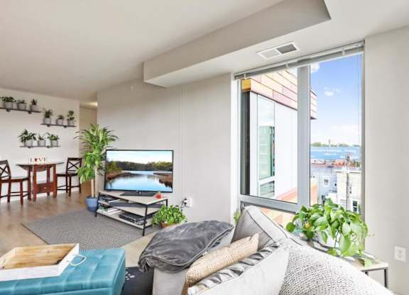 Modern living room here at Blue and Lime Apartments with bright, natural light. Features a cozy gray sofa, TV, plants, dining table, and a tall window showing a cityscape with water. Calm, inviting atmosphere.