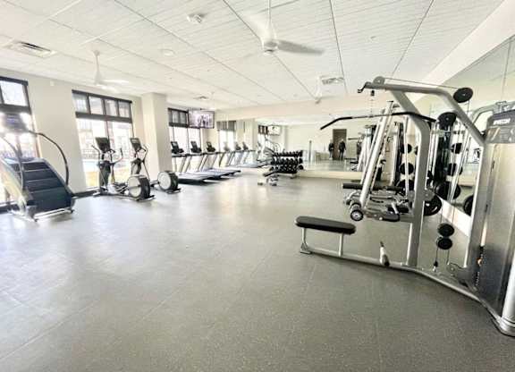 the gym has plenty of weights and cardio equipment in it