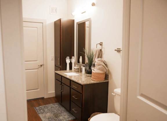 a bathroom with a sink and a mirror and a toilet