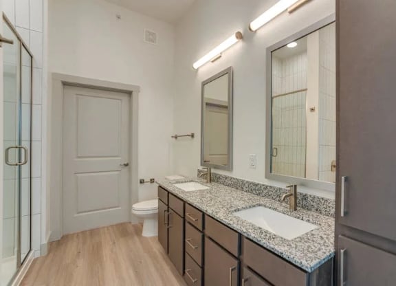 a bathroom with a sink and a mirror and a toilet