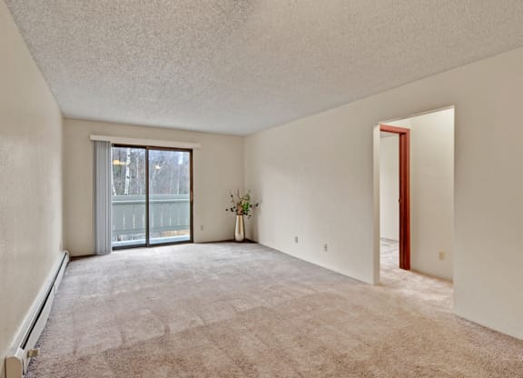 Empty living room here at Park Plaza Apartments with beige carpet, white walls, and a large sliding glass door opening to a balcony. Sparse decor includes a vase with flowers.