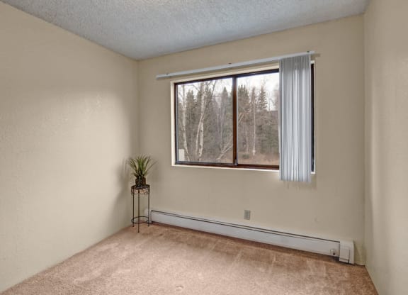 Empty bedroom here at Park Plaza Apartments with a large window showing leafless trees outside. Vertical blinds cover half the window. A plant on a stand decorates a corner.