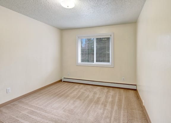 An empty bedroom here at Quiet Creek Apartments with beige carpet and cream walls, featuring a single window with white blinds. The setting is bright and minimal, conveying simplicity.