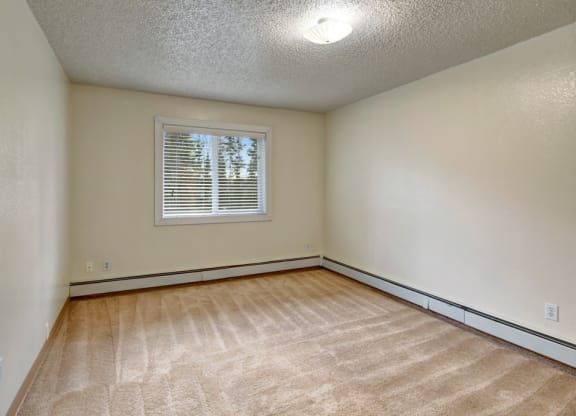 Empty bedroom here at Quiet Creek Apartments with beige carpet and cream walls, featuring a single window with closed blinds. Overhead light fixture brightens the cozy, minimal space.