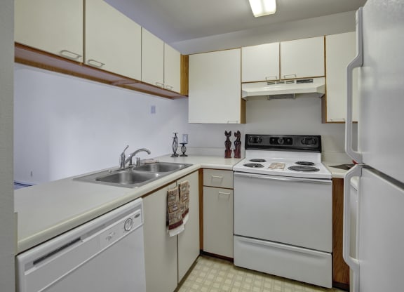 Small kitchen here at Silver Ridge Apartments with white cabinets, electric stove, double sink, and dishwasher. The countertop has decorative cat figurines and candles. Bright lighting.
