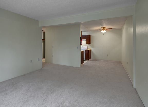 Simple, empty living room with light gray carpet, pale green walls, and a small kitchen in the back. Warm, neutral lighting gives a cozy feel.