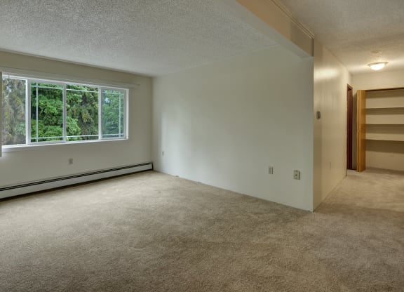 An empty room here at Taiga Apartments with beige carpet and white walls features a large window showing green trees outside. A hallway with shelves is on the right, under soft lighting.