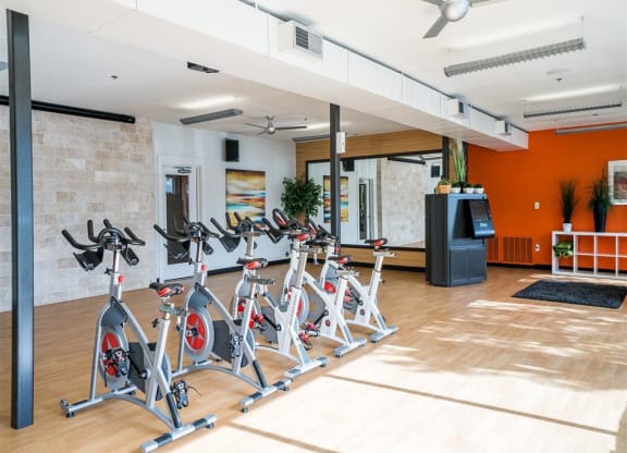 a row of exercise bikes in a fitness room