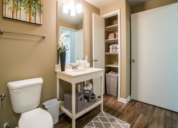 Parkside at Firewheel bathroom