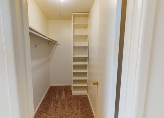 A spacious walk-in closet here at Golden Crest with plush carpeted flooring, built-in shelving, and a hanging rod, offering ample storage space in a clean, well-lit, and organized layout.