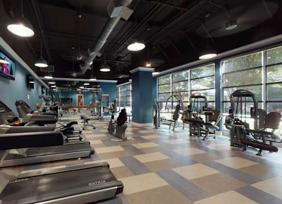 A gym with treadmills and exercise equipment.