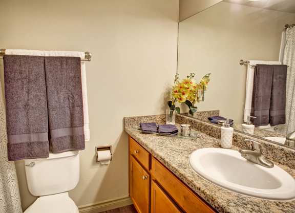 A clean bathroom here at Colonial Square featuring a granite-style vanity countertop with an integrated sink, wood-tone cabinetry, a large wall mirror, neatly folded towels on a towel bar, a shower curtain with a subtle pattern, and a compact layout that feels functional and well lit.