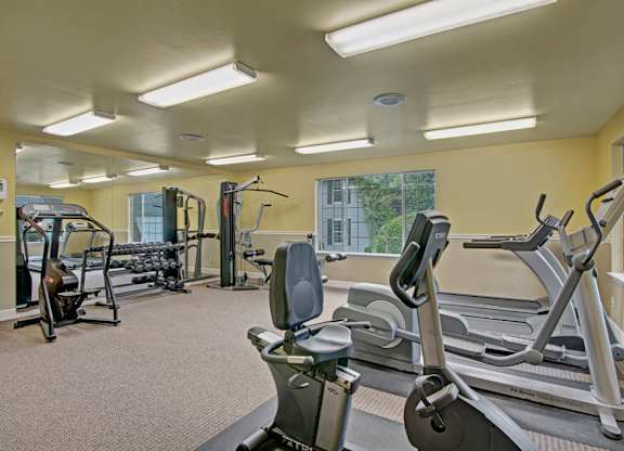 A spacious fitness center here at Island Park featuring cardio equipment including treadmills, ellipticals, and a stationary bike, along with strength training machines and free weights. Large windows line the walls to bring in natural light, while mirrors and bright overhead lighting create an open, functional workout space.