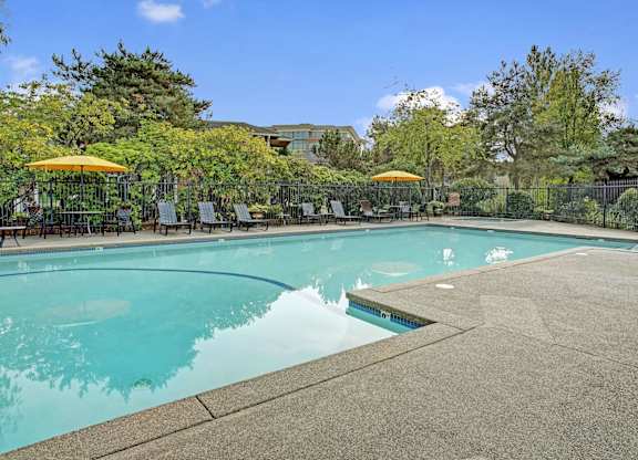 A resort-style outdoor swimming pool here at Lakeside featuring a spacious concrete pool deck with in-water steps, a row of lounge chairs and yellow umbrellas along a black metal fence, and lush trees and greenery surrounding the area beneath a bright blue sky for a relaxing community retreat.
