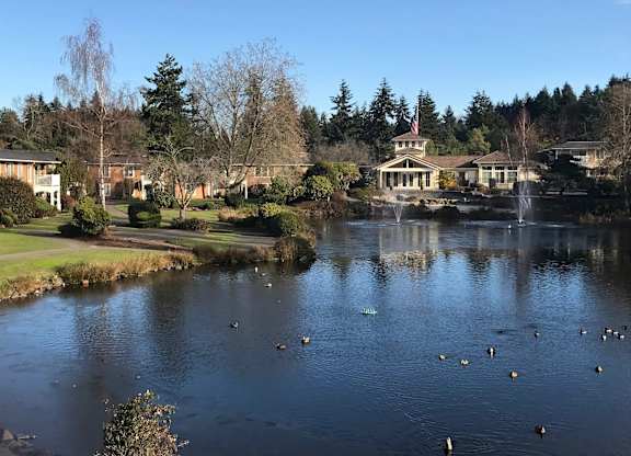 A scenic waterfront view here at Lakeside featuring a reflective pond with gentle water fountains, ducks floating across the water, manicured lawns, winding walking paths, and mature trees, with apartment homes and the community clubhouse visible along the shoreline beneath a clear blue sky.