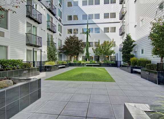 A courtyard with a grassy area surrounded by buildings.