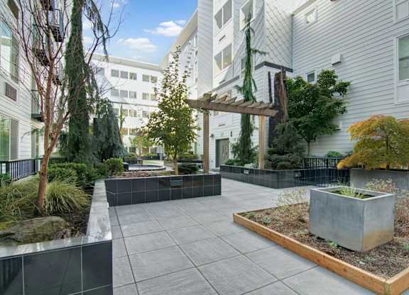 A courtyard with a planter box in the middle.