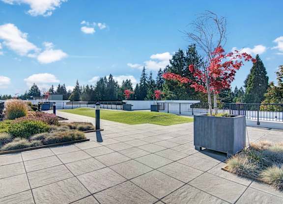 A red tree in a planter stands out against a grey concrete planter.