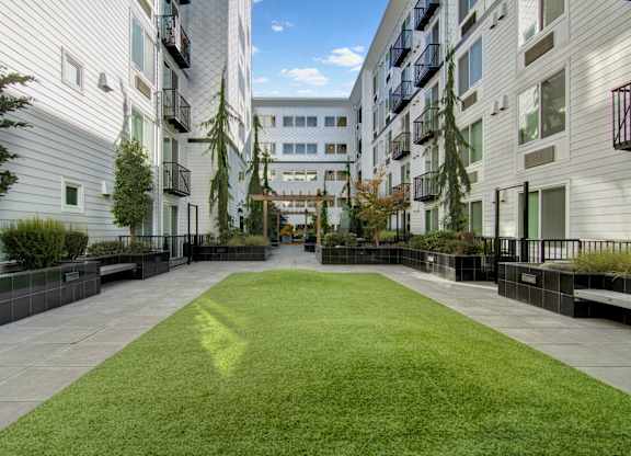 A grassy courtyard is surrounded by apartment buildings.