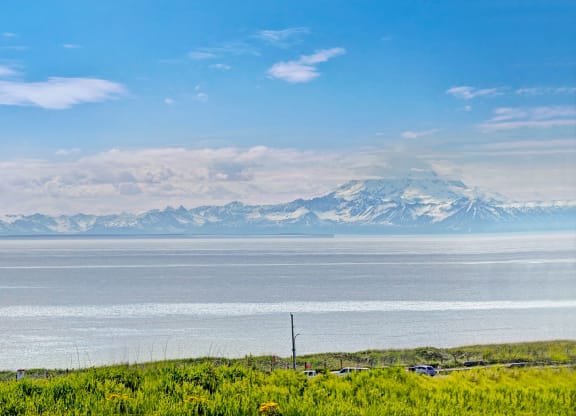 Bay Arms Apartments - Views