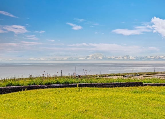 Bay Arms Apartments - Views