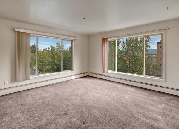 Bright, empty living room here at Castle Apartments with large windows showcasing a view of green trees and blue sky. Beige carpet and walls create a calm, spacious atmosphere.