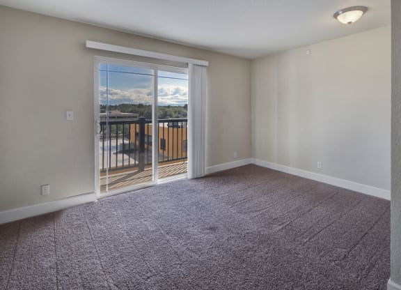 Living room here at City View Apartments with beige walls and gray carpet, featuring a large glass sliding door leading to a balcony. Bright natural light and neutral decor.