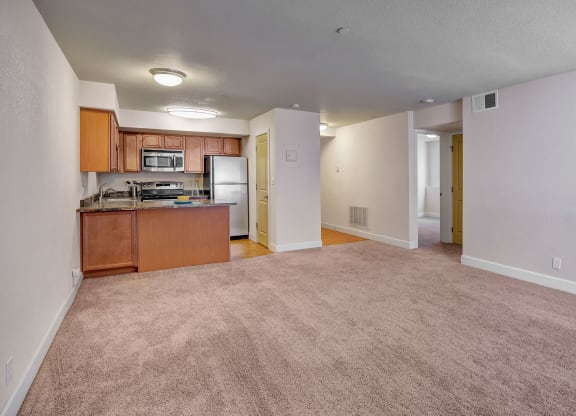 Open-plan apartment here at City View Apartments with beige carpet, white walls, and a small kitchen. The kitchen has wooden cabinets, stainless steel appliances, and a cozy atmosphere.
