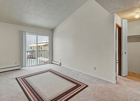 Empty living room here at Conifer Grove Apartments with beige carpet and a square rug. A sliding glass door opens to a snowy view. Neutral walls and a closet add a minimalist feel.