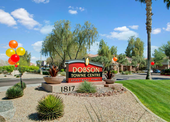 Sign for Dobson Towne Centre Apartment Homes surrounded by desert landscaping, balloons, and palm trees under a clear blue sky.