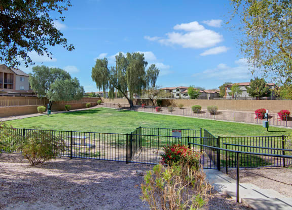 Fenced grassy park area here at Pala Mesa Apartments with trees and surrounded by residential buildings. Bright sky and scattered clouds convey a peaceful, sunny atmosphere.