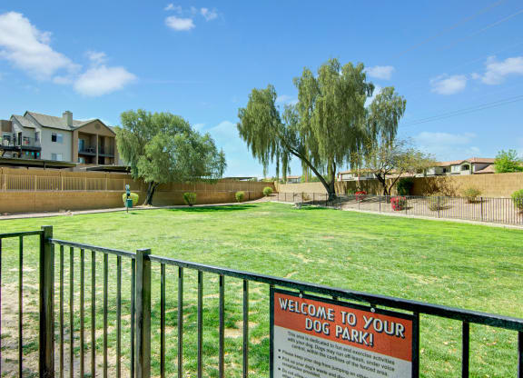 Sunny dog park here at Pala Mesa Apartments with green grass, black metal fence, and a welcoming sign. Trees and apartment buildings in the background, under a blue sky.
