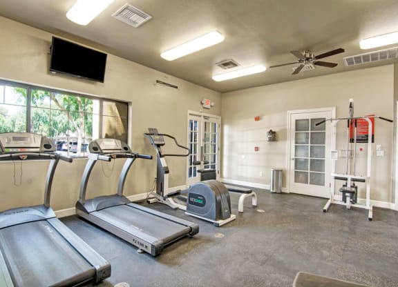 Paradise Falls Indoor Gym