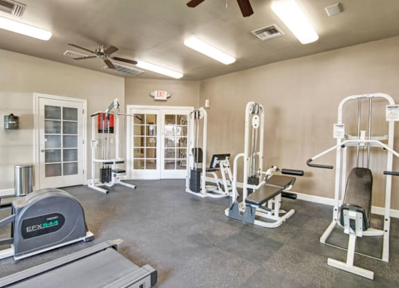 Paradise Falls Indoor Gym