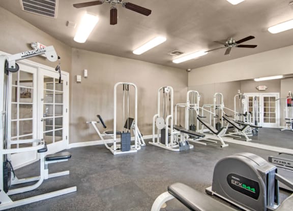 Paradise Falls Indoor Gym
