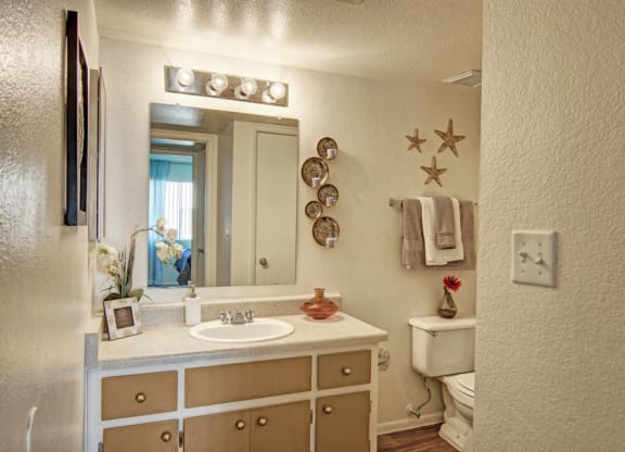 Paradise Falls Bathroom