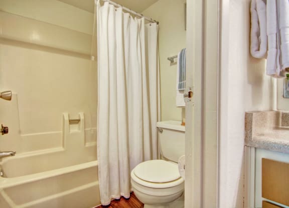 Paradise Falls Bathroom