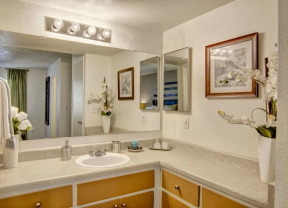Paradise Falls Bathroom