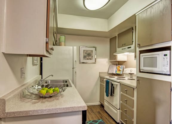 Paradise Falls Kitchen