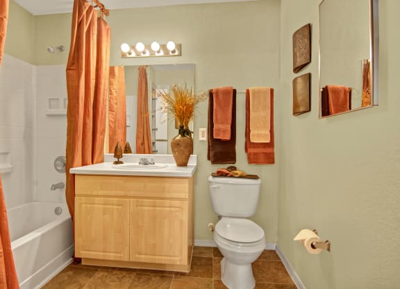 Retreat at Speedway Bathroom