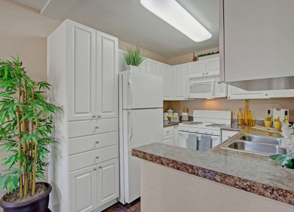 Bright kitchen here at Castlepark Apartment Homes with white cabinets and appliances, granite countertops, and stainless steel sink. Decorative plants and yellow accents add warmth.